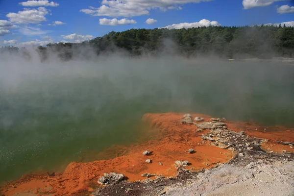 Pezsgőmedencék Rotorua Zéland — Stock Fotó