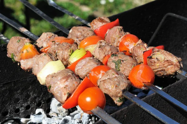 Kebab Filettati Spiedino Griglia — Foto Stock