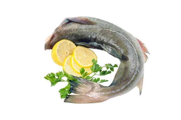 Poisson Cru Décoré Avec Citron Des Herbes Isolé Sur Blanc — Photo