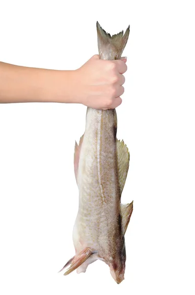 Fisk Utan Huvud Handen Isolerad Vitt — Stockfoto