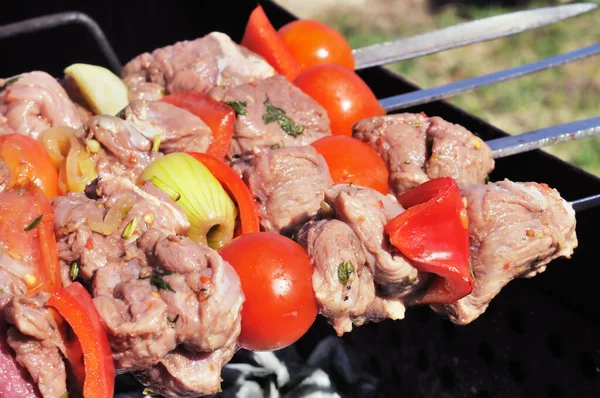 Kebabs Schroefdraad Een Barbecuespies Grill — Stockfoto