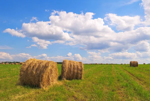 Balles Paille Sur Champ Contre Ciel Bleu Avec Des Nuages — Photo