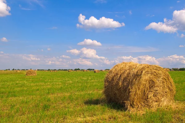 stock image Straw bales on field against blue sky with clouds