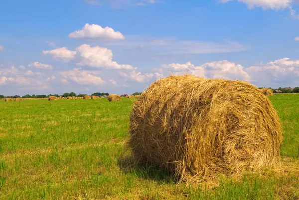 Halm Balar Fältet Mot Blå Himmel Med Moln — Stockfoto