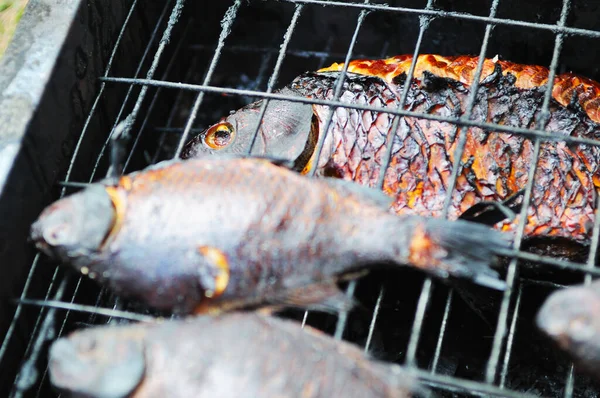 Three Smoked Freshwater Fish Grill — Stock Photo, Image