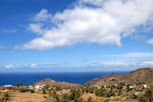 Αλοχέρα Στο Gomera — Φωτογραφία Αρχείου