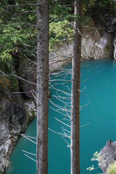 美しい自然景観を背景に — ストック写真