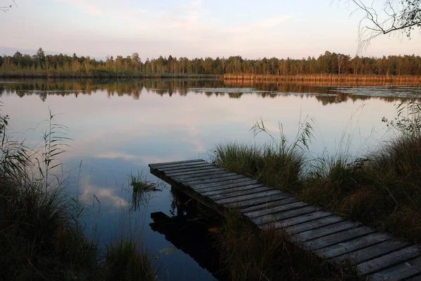 Piękny Widok Scenę Natury — Zdjęcie stockowe