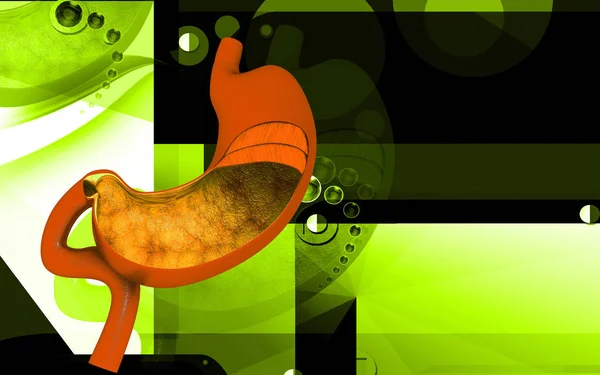 胃の色の背景のデジタルイラスト — ストック写真