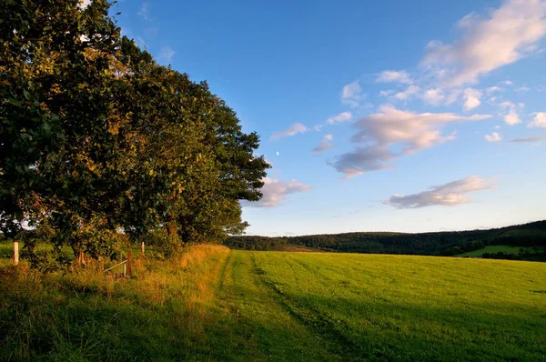 Utsikt Över Vacker Kväll — Stockfoto