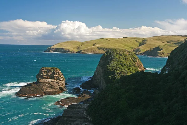 Partvonal Surat Bay Jack Blowhole Zéland — Stock Fotó