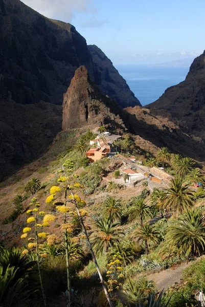 Mountain Village Masca Tenerife — 스톡 사진