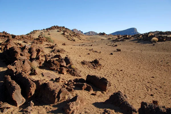 Nationaal Park Teide Tenerife — Stockfoto