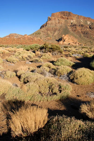 Εθνικό Πάρκο Teide Στην Τενερίφη — Φωτογραφία Αρχείου