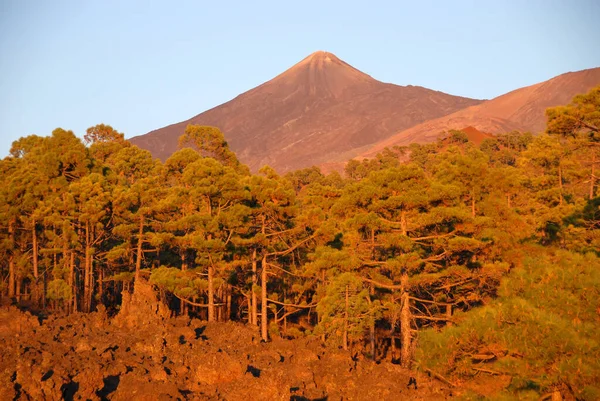 Nationaal Park Teide Tenerife — Stockfoto