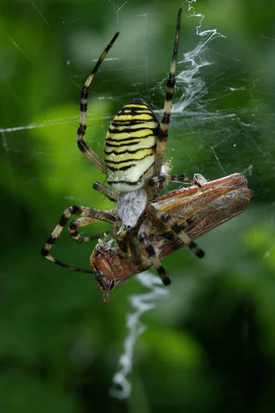 Spooled Stock Photos, Royalty Free Spooled Images | Depositphotos