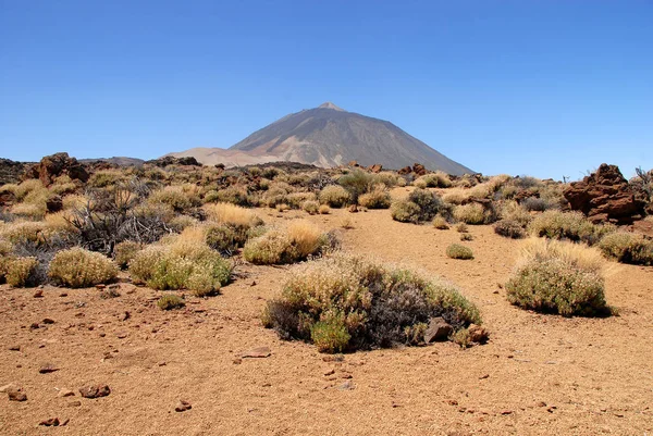 Parque Nacional Del Teide Tenerife —  Fotos de Stock