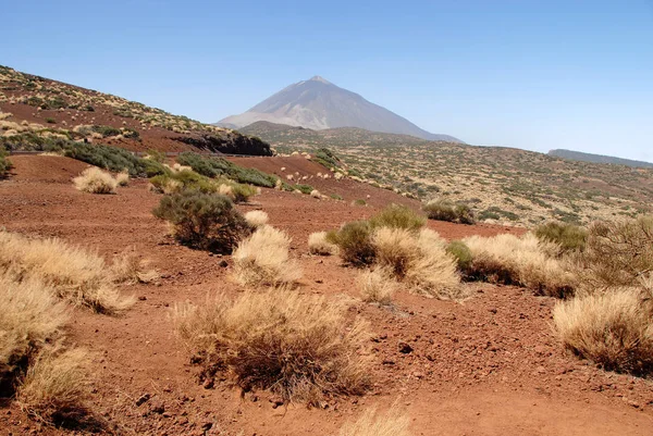 Parco Nazionale Del Teide Tenerife — Foto Stock