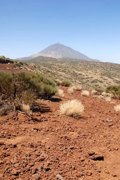 Teide Milli Parkı Tenerife — Stok fotoğraf