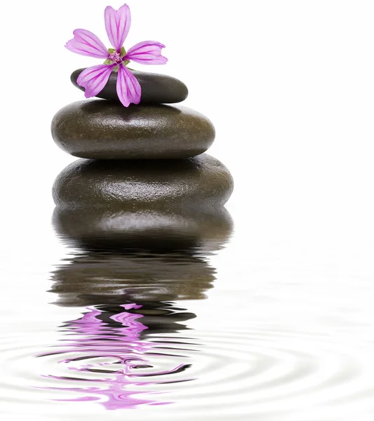 Rocas Equilibrio Zen Sobre Fondo Blanco — Foto de Stock