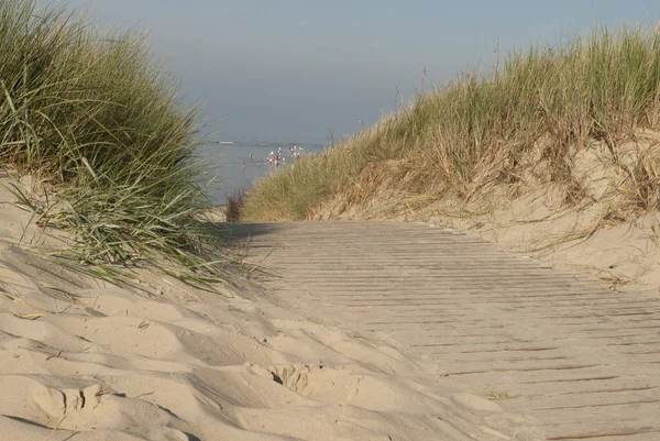 North Sea Island Langeoog Dunes — Stock Photo, Image