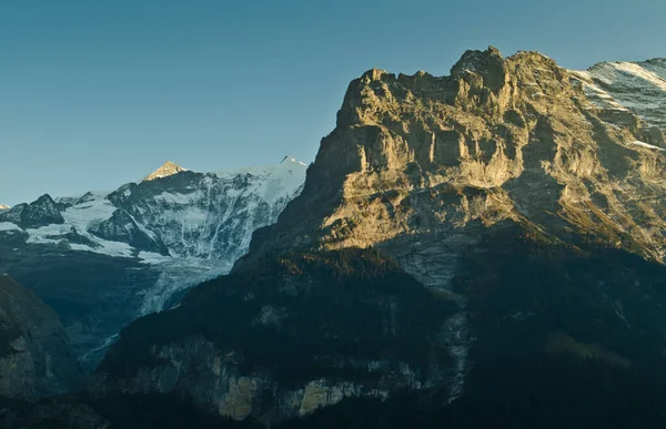 Vista Través Grindelwaldschlucht —  Fotos de Stock