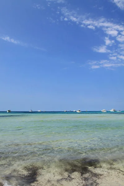 Maldives Beau Fond Plage Sable Blanc Île Paradisiaque Tropicale Avec — Photo
