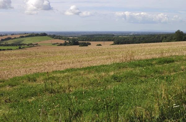 Kust Platteland Nabij Chichester West Sussex Engeland Gezien Vanaf South — Stockfoto