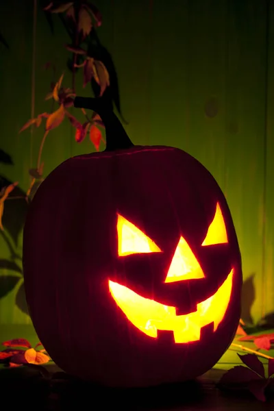 Zucca Illuminato Halloween Sfondo Foglia Autunno — Foto Stock