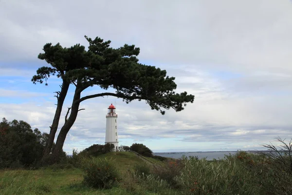 stock image lighthouse on the island hiddensee