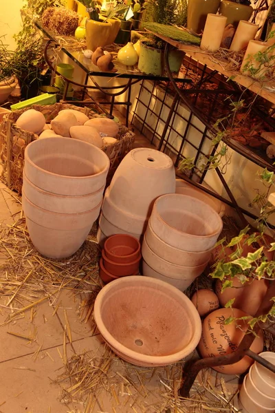 Mısır Tarlasında Bir Yatak — Stok fotoğraf