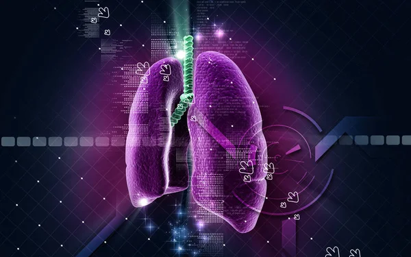 Digital Illustration Human Lungs Colour Background — Stockfoto