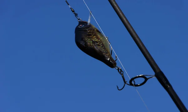 Fishing Rod Hanging Wire — Stock Photo, Image
