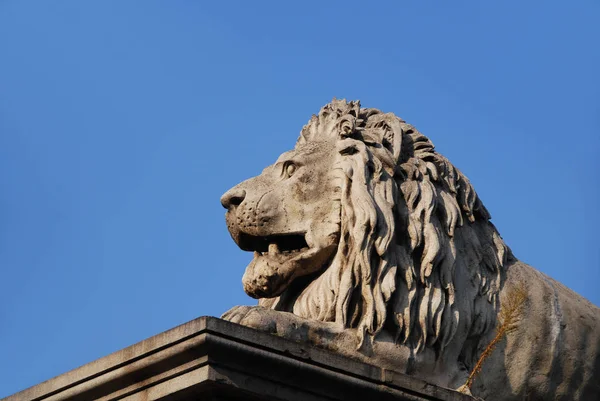 León Puente Cadena — Foto de Stock