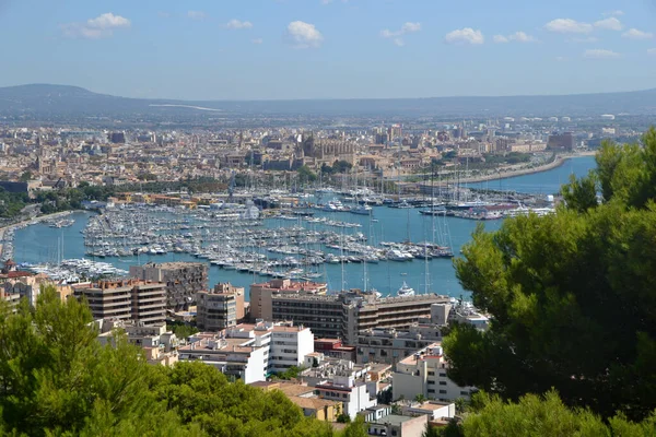 Palma Mallorca Manzarası — Stok fotoğraf