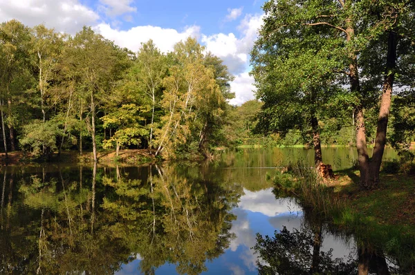 Vacker Dag Och Natur Parken — Stockfoto