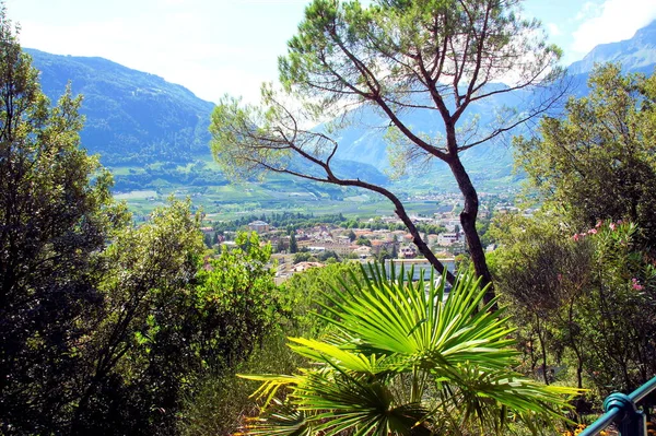 Uitzicht Vanaf Tappeinerweg Door Mediterrane Flora Meran — Stockfoto