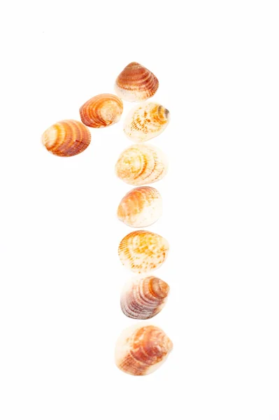 Number One Seashells White — Stock Photo, Image