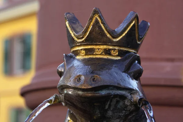 Frog King Rospo Anfibio — Foto Stock