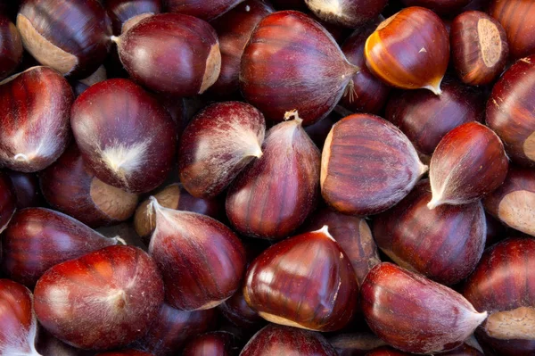 Chestnuts Market Stock Image