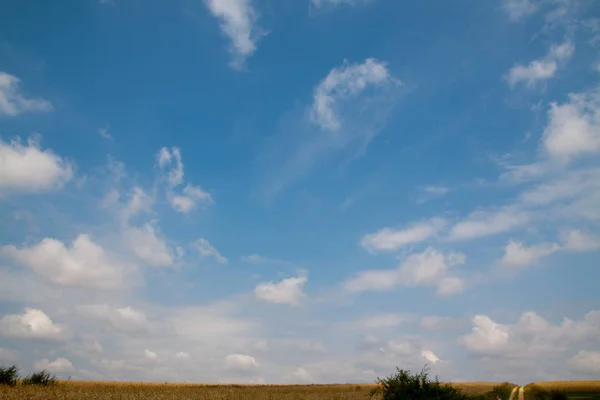 Céu Azul Sobre Fileds — Fotografia de Stock