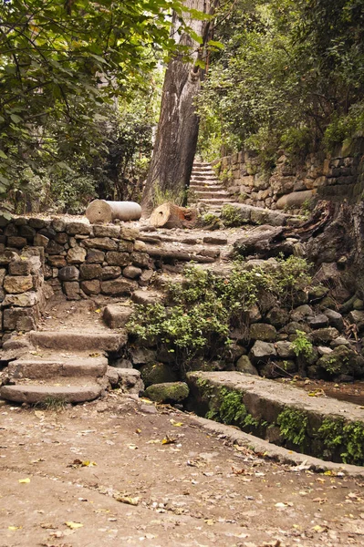 Montant Des Escaliers Dans Les Bois — Photo