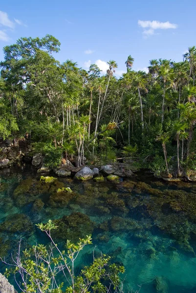Transparent Lake Rainforest — Stock Photo, Image