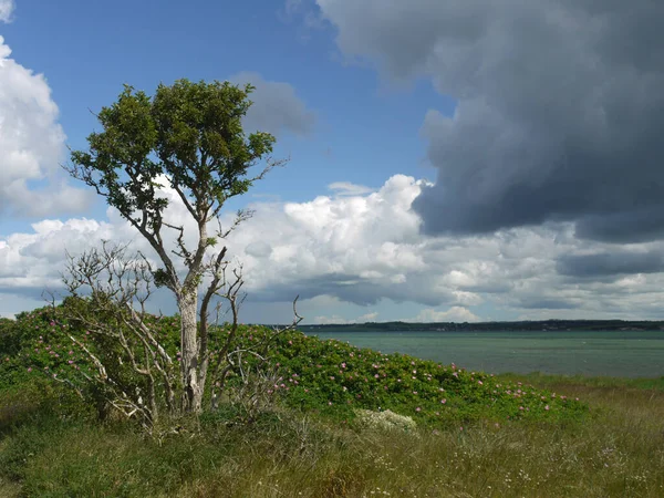 Vue Panoramique Île Mise Point Sélective — Photo