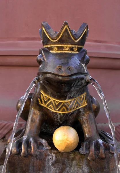 Король Лягушек Жаба Амфибия — стоковое фото