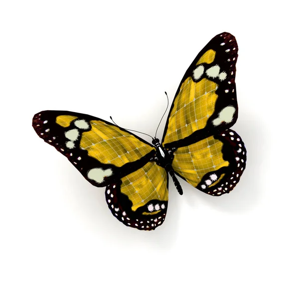Vykreslování Žlutý Motýl Texturou Solární Panel — Stock fotografie