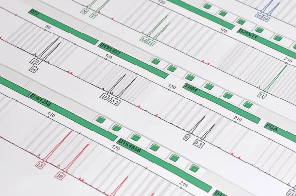 Impronta Digitale Dna Profilo Genetico — Foto Stock