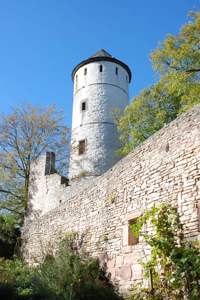 Malerischer Blick Auf Die Schöne Mittelalterliche Festungsarchitektur — Stockfoto