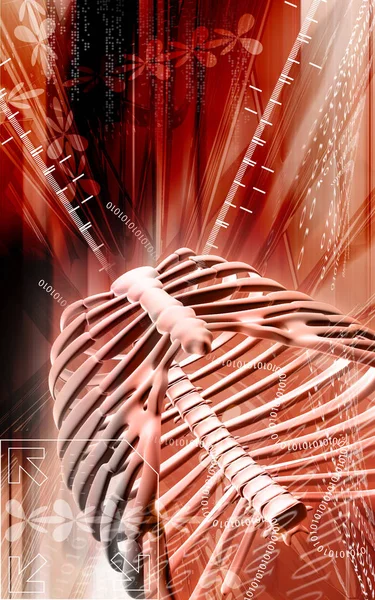Digitale Darstellung Des Brustkorbs Farbigen Hintergrund — Stockfoto
