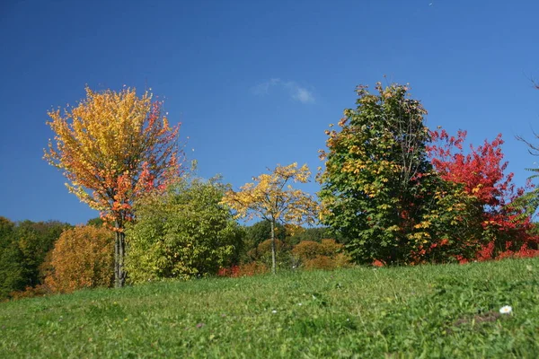 秋の雰囲気選択的焦点 — ストック写真